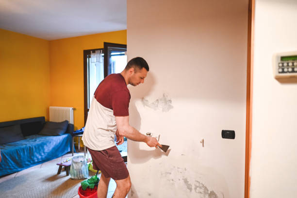 Best Toxic Mold Removal  in Warren Park, IN